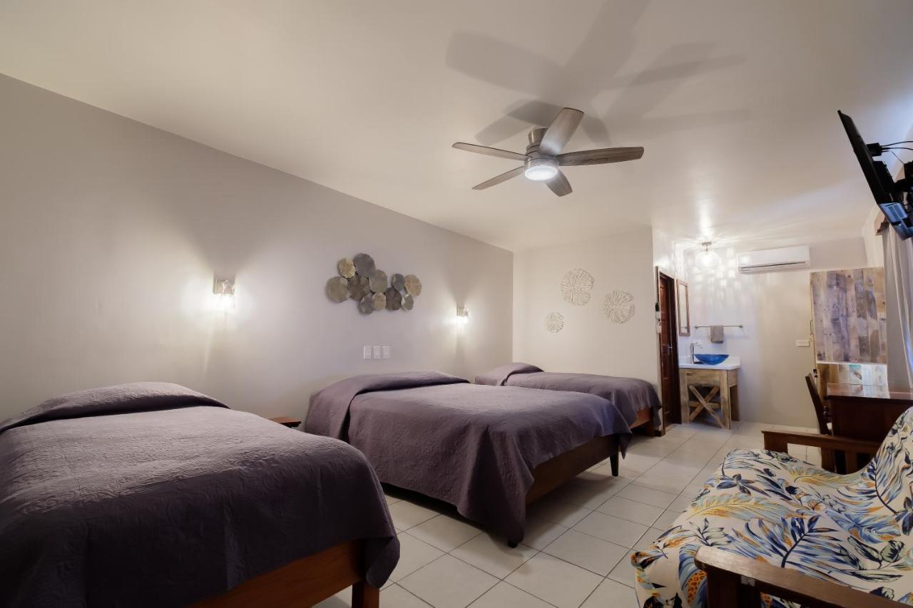 Holiday Hotel San Pedro  Dış mekan fotoğraf